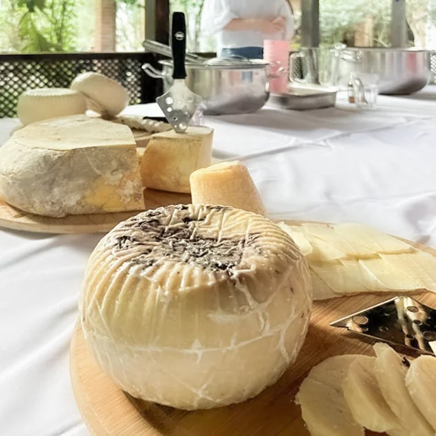 Artisan Cheese Workshop