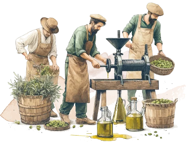 Olive Oil Making