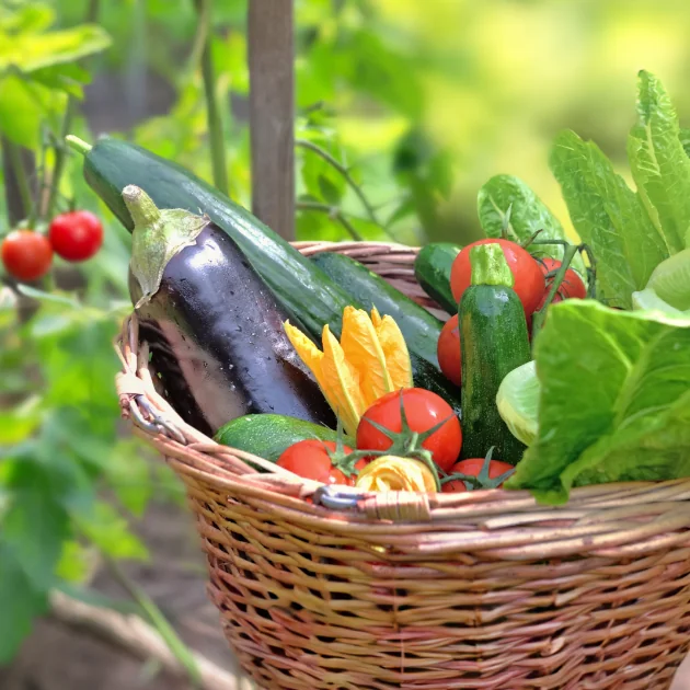 Seasonal Garden