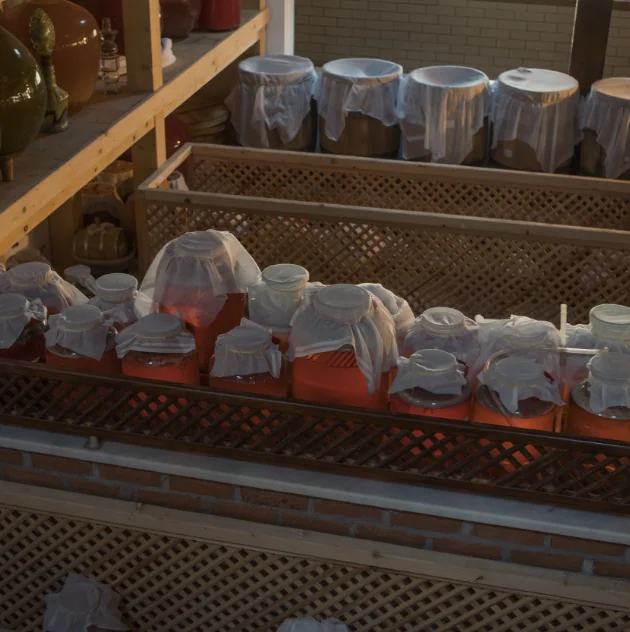 Vinegar Workshop